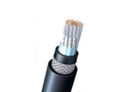 仪控电缆 仪控电缆